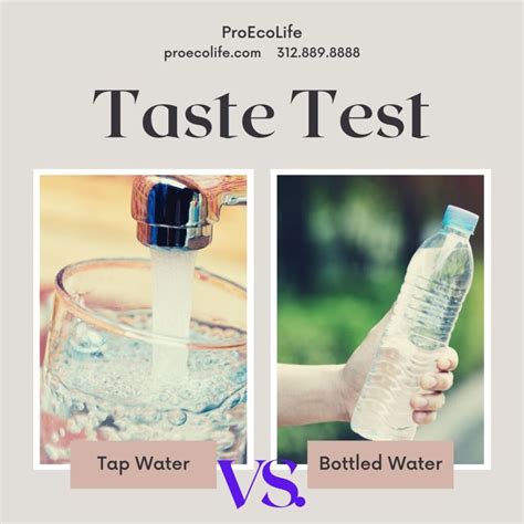 bottled water vs tap water test